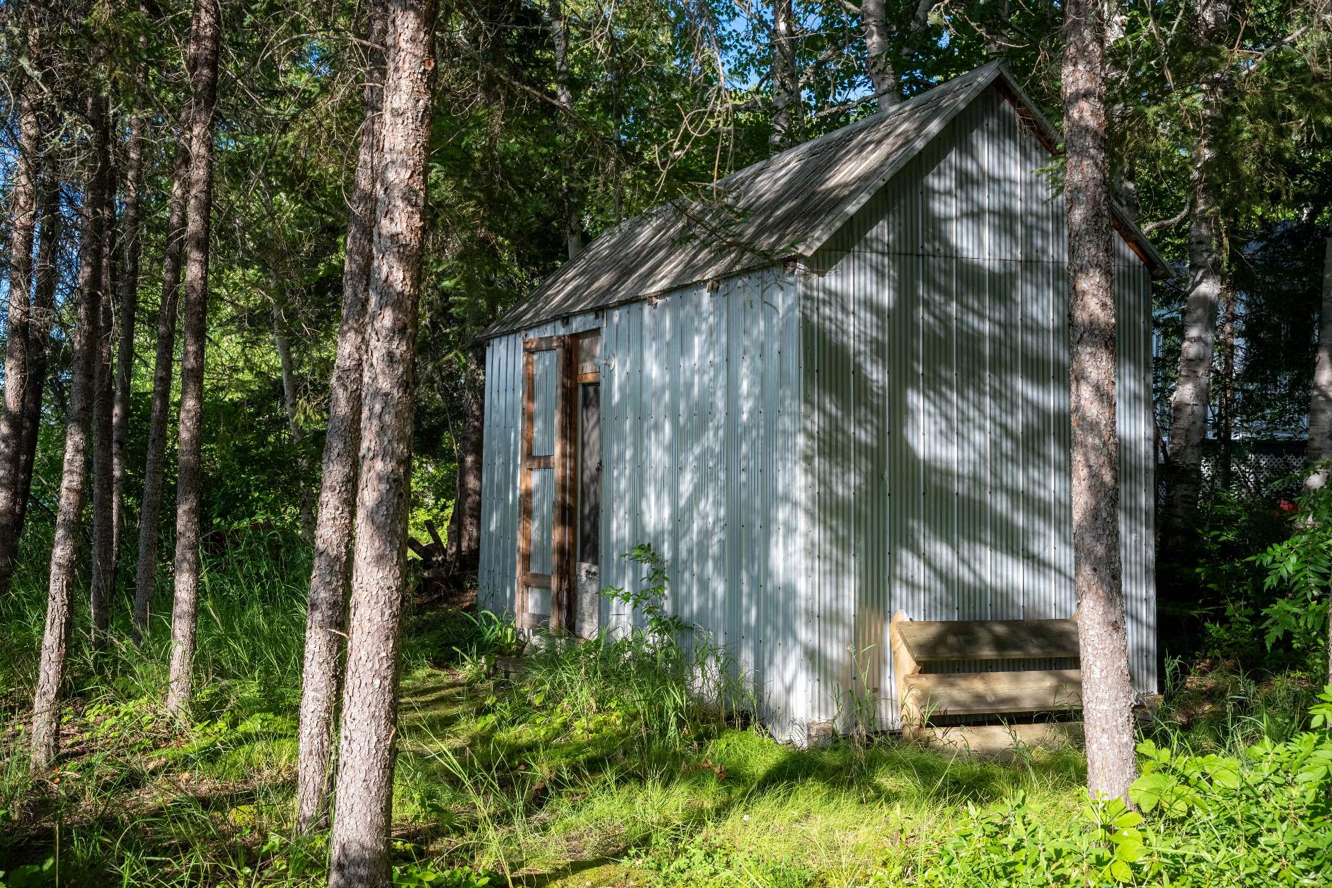 Shed