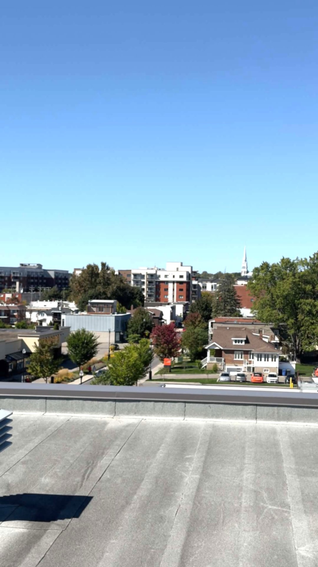 Vue