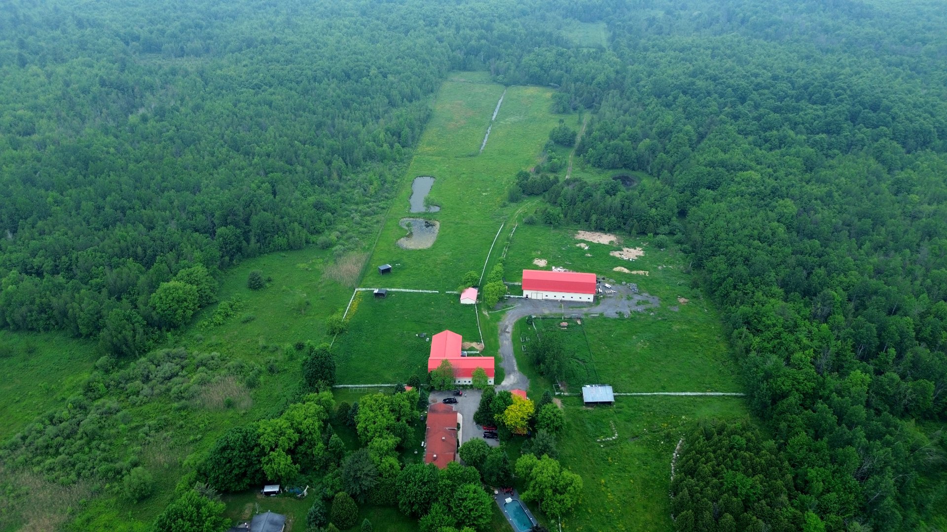 Overall View