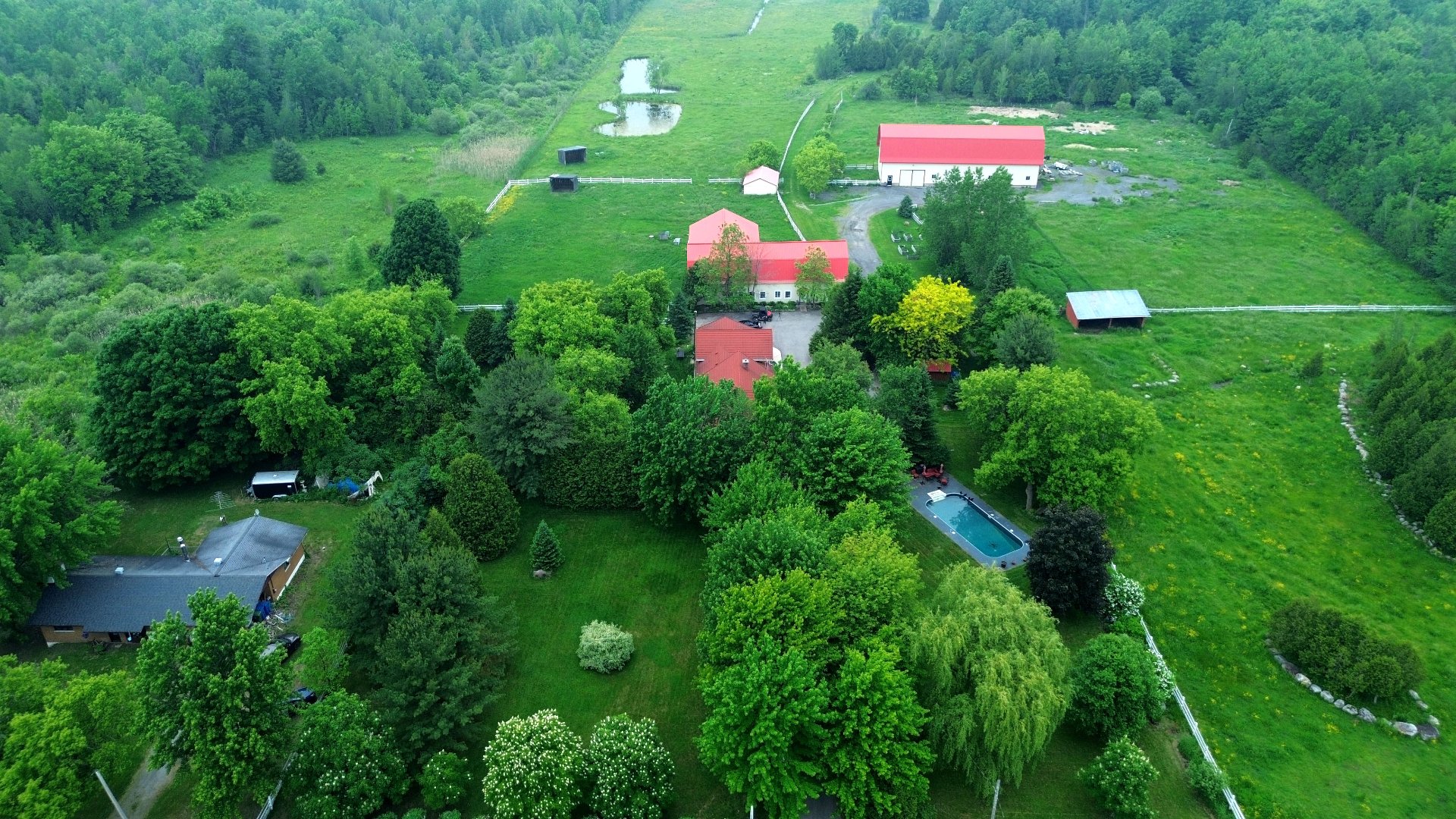 Overall View