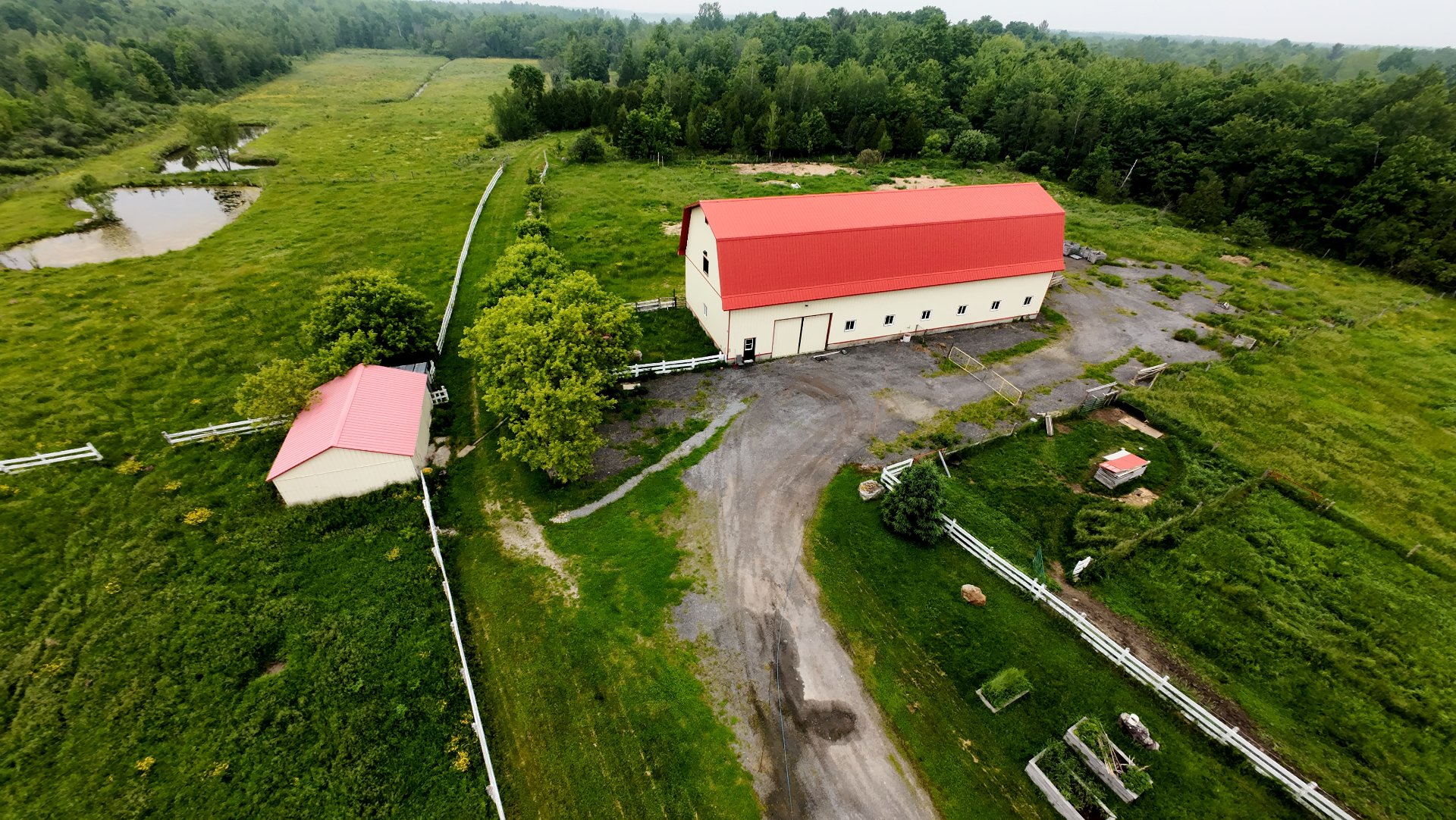 Overall View