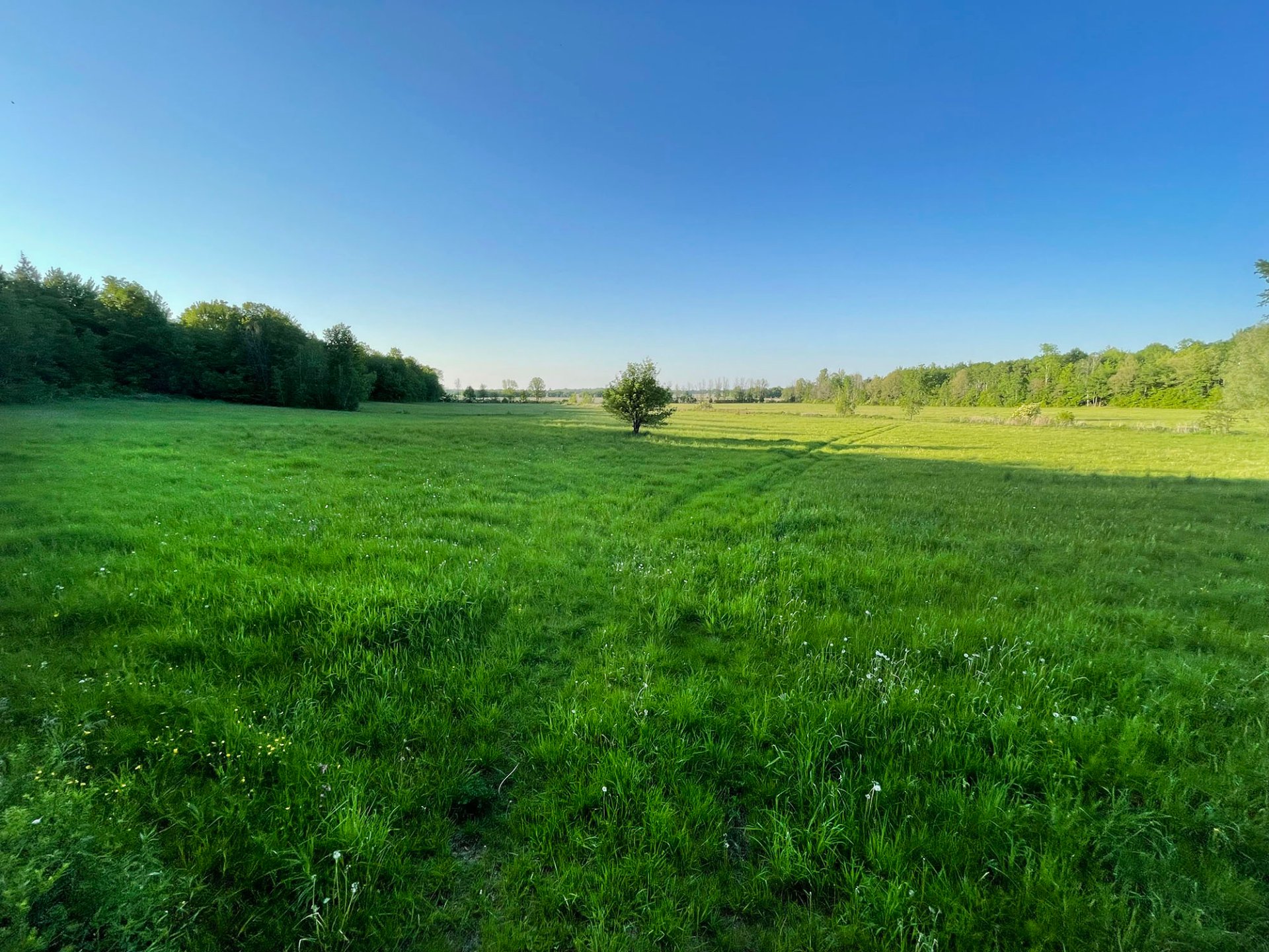 Terre/Terrain