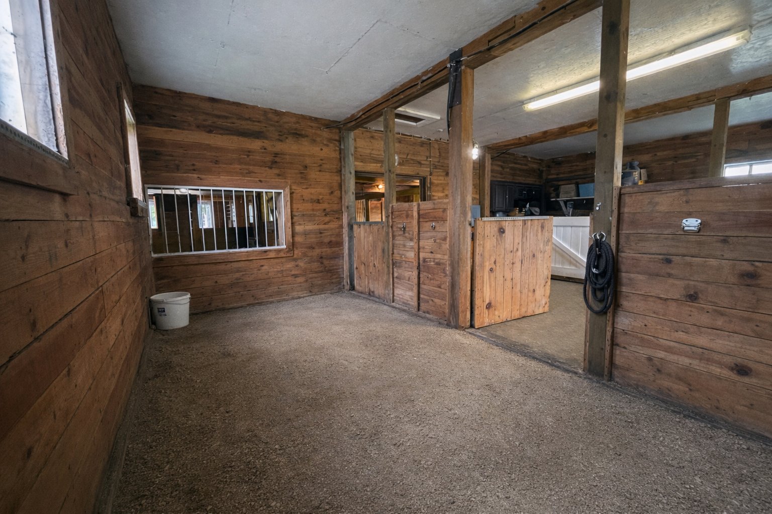 Photo cleaned using AI to protect the privacy