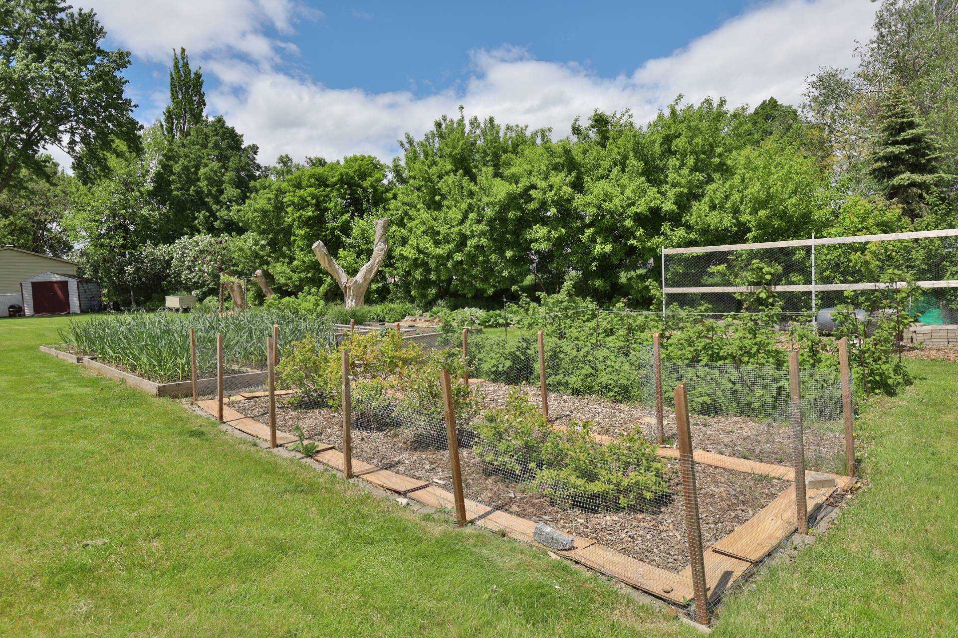 Garden