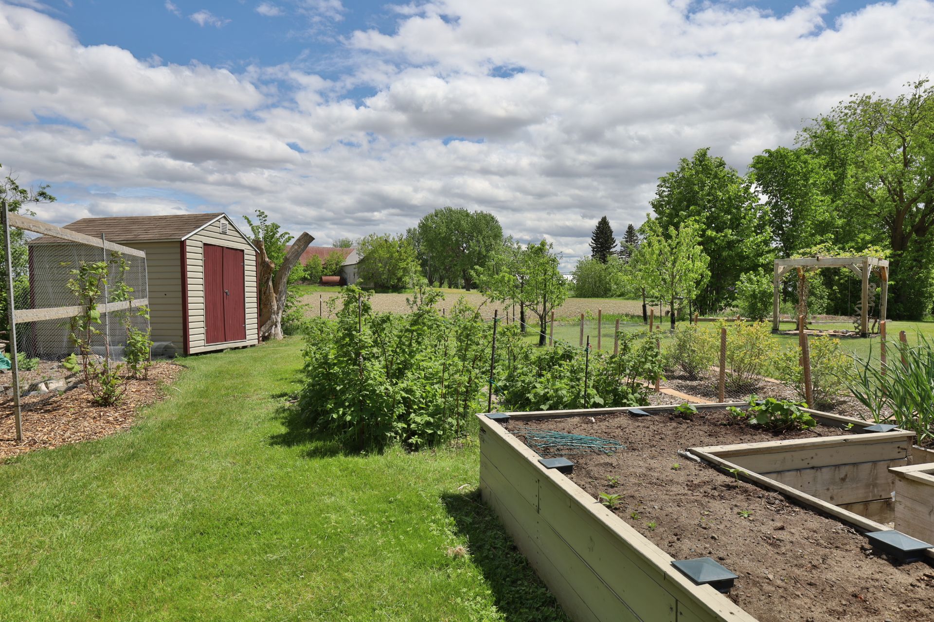 Garden