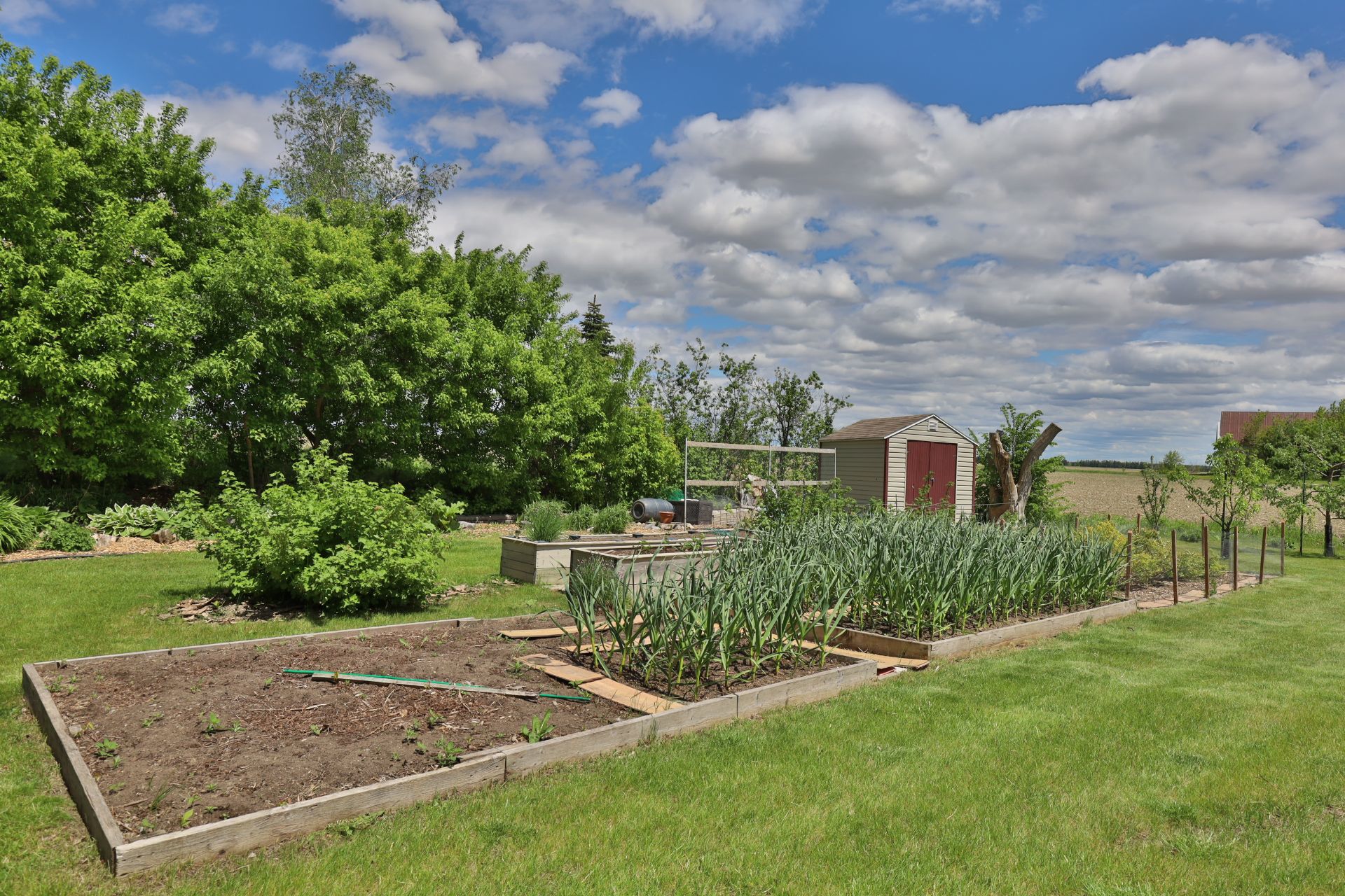 Garden