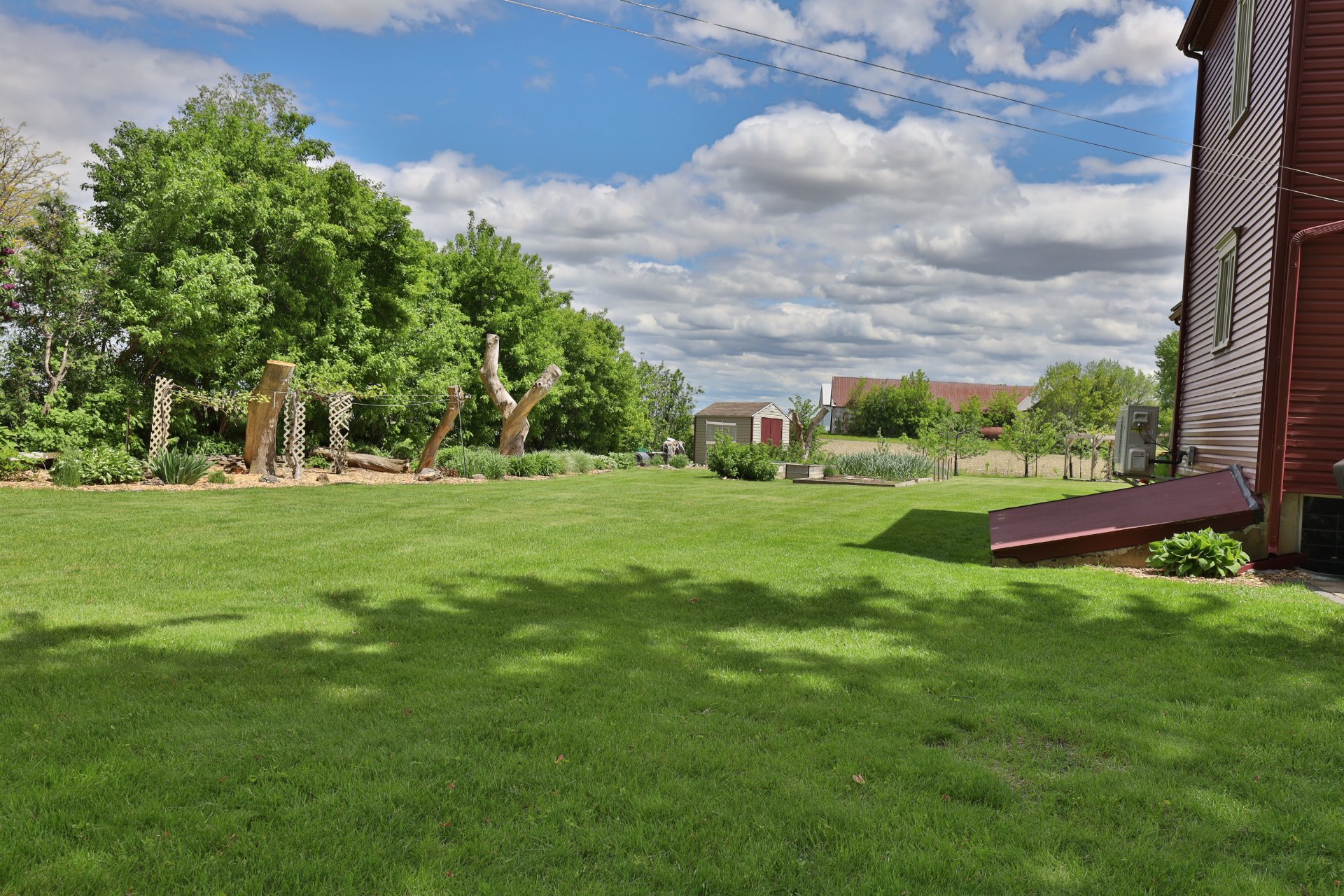 Backyard