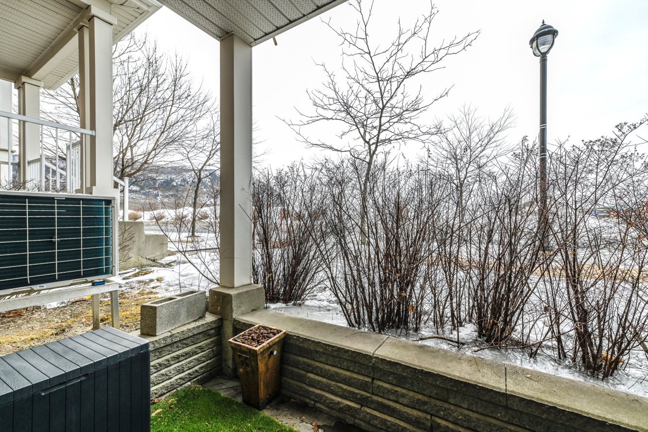 Les buissons amènent de l'intimité