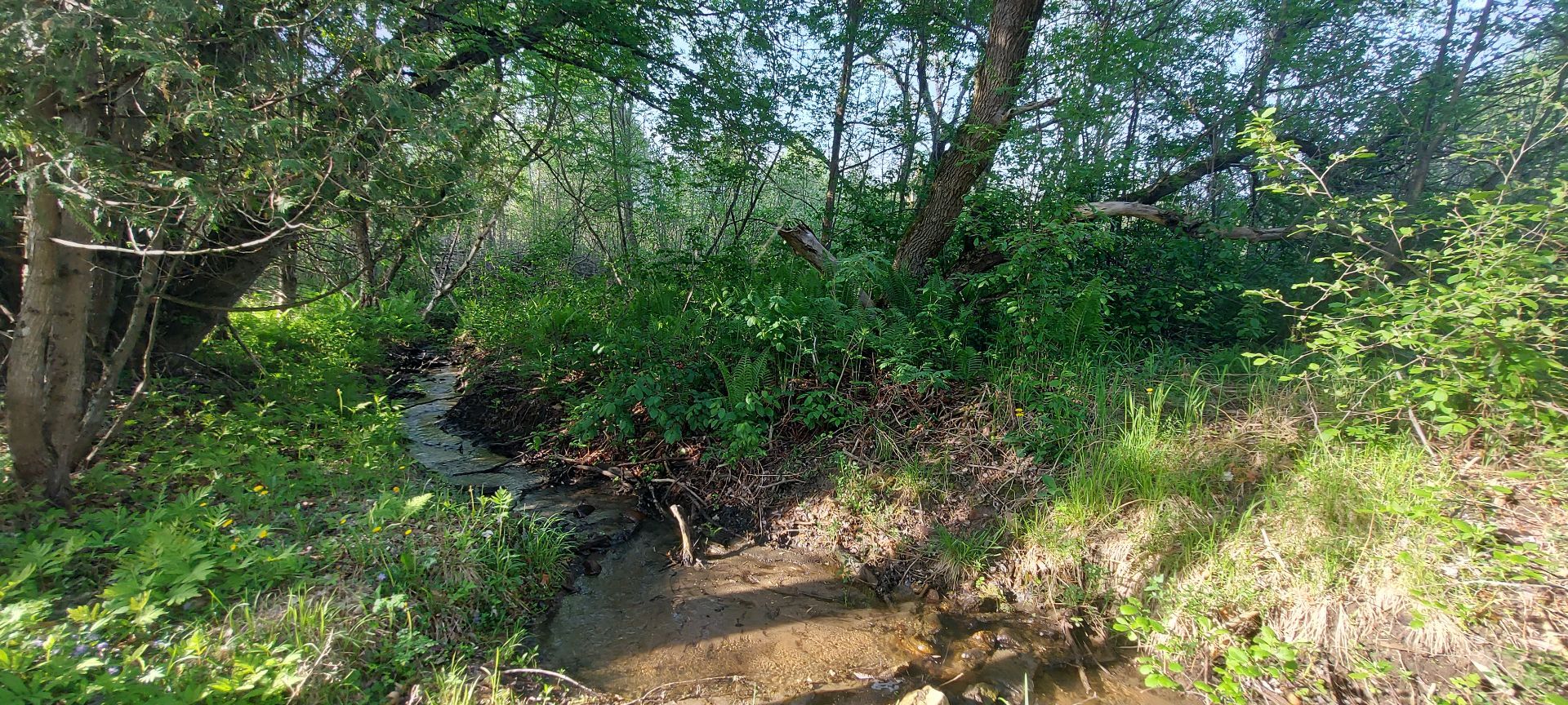 Land/Lot