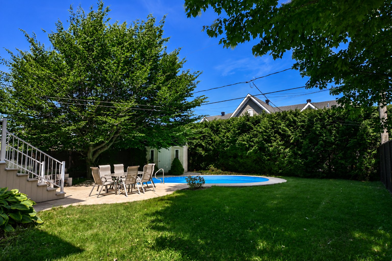 Backyard