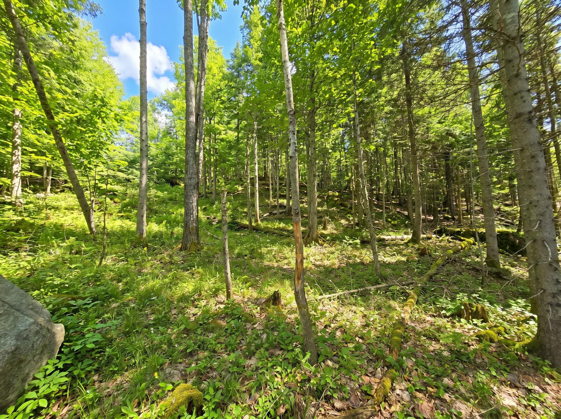 Land/Lot