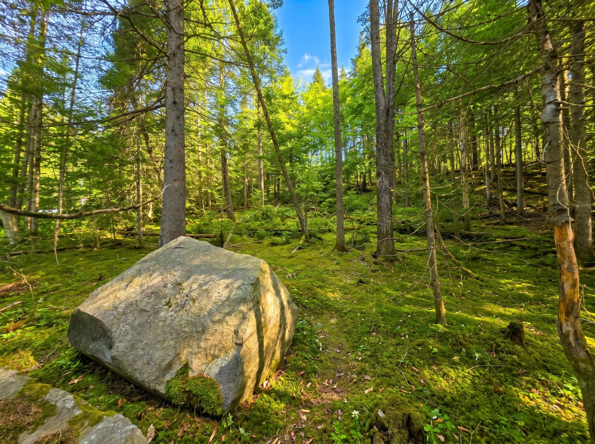 Land/Lot