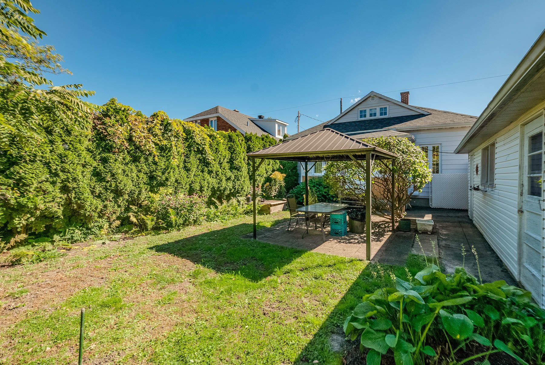 Backyard