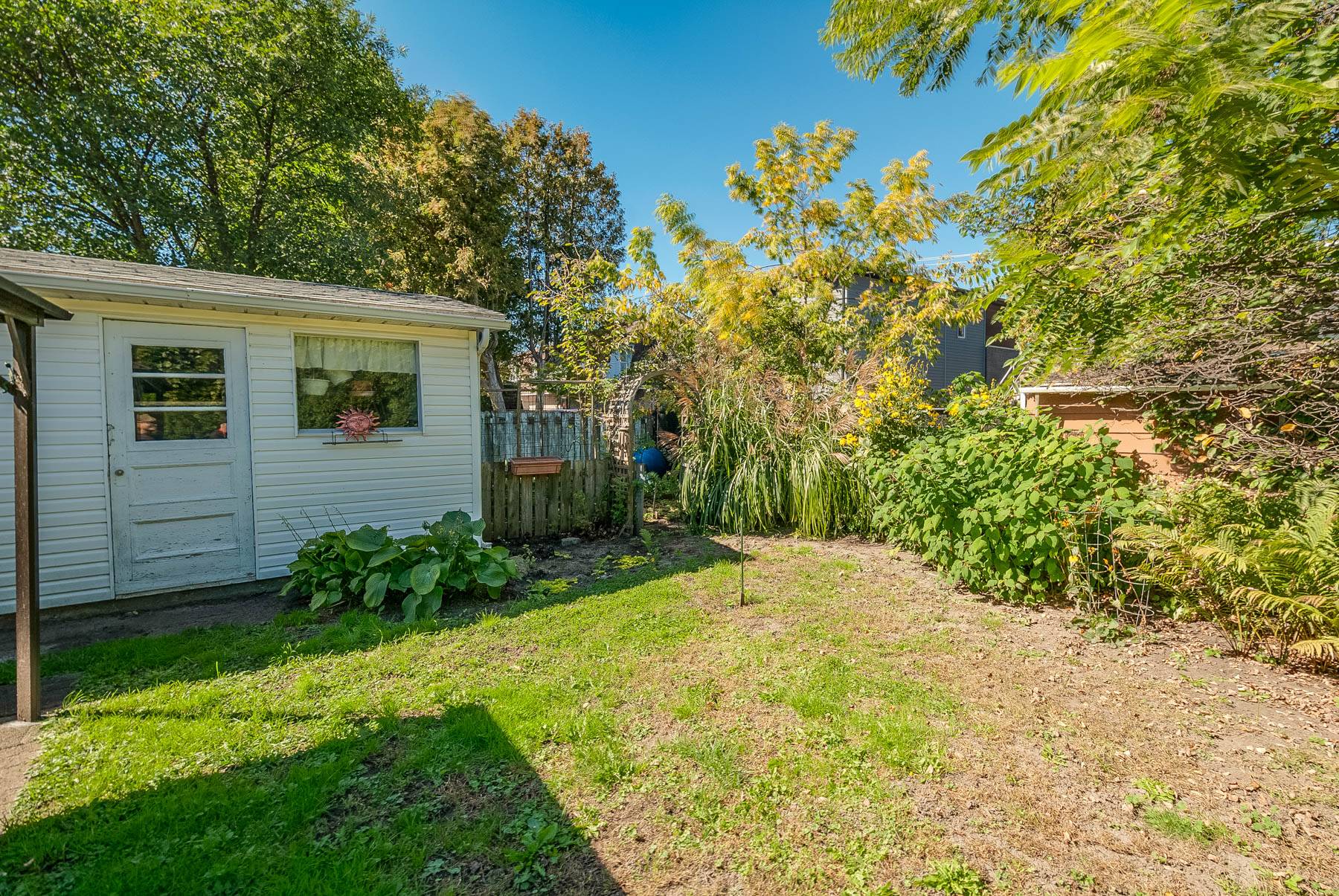 Backyard