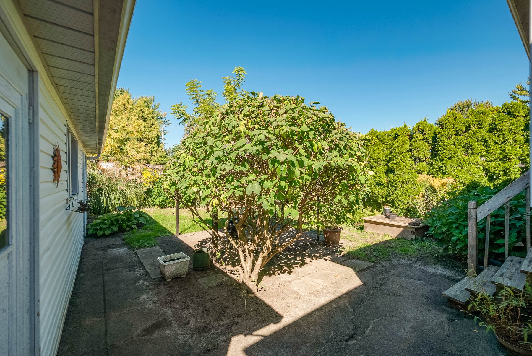 Backyard