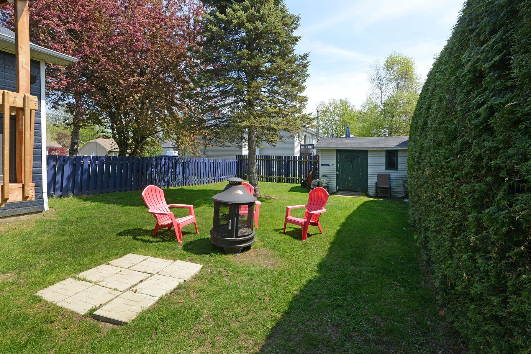 Backyard