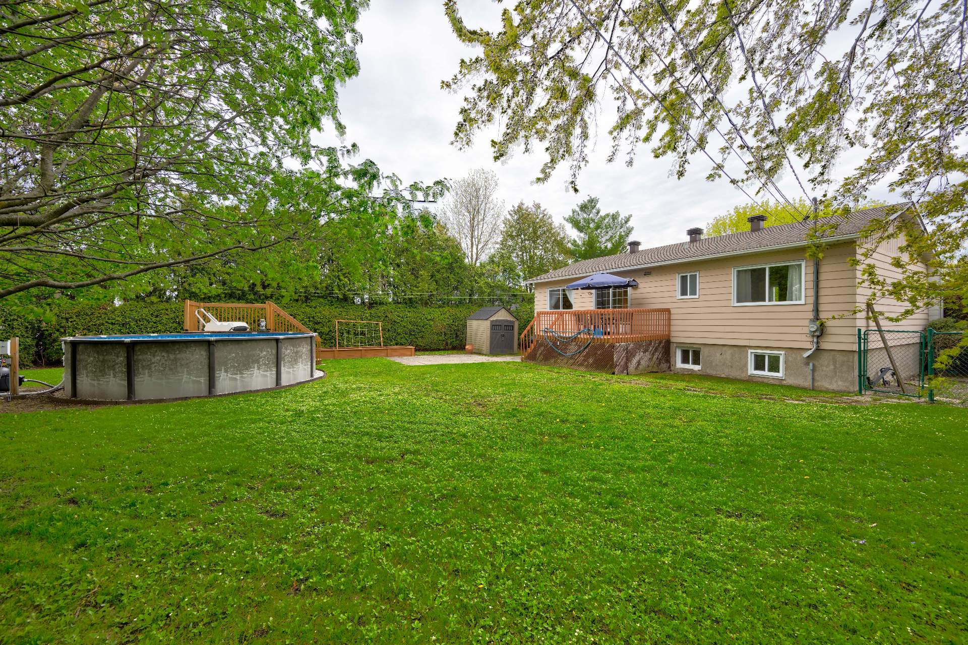 Backyard