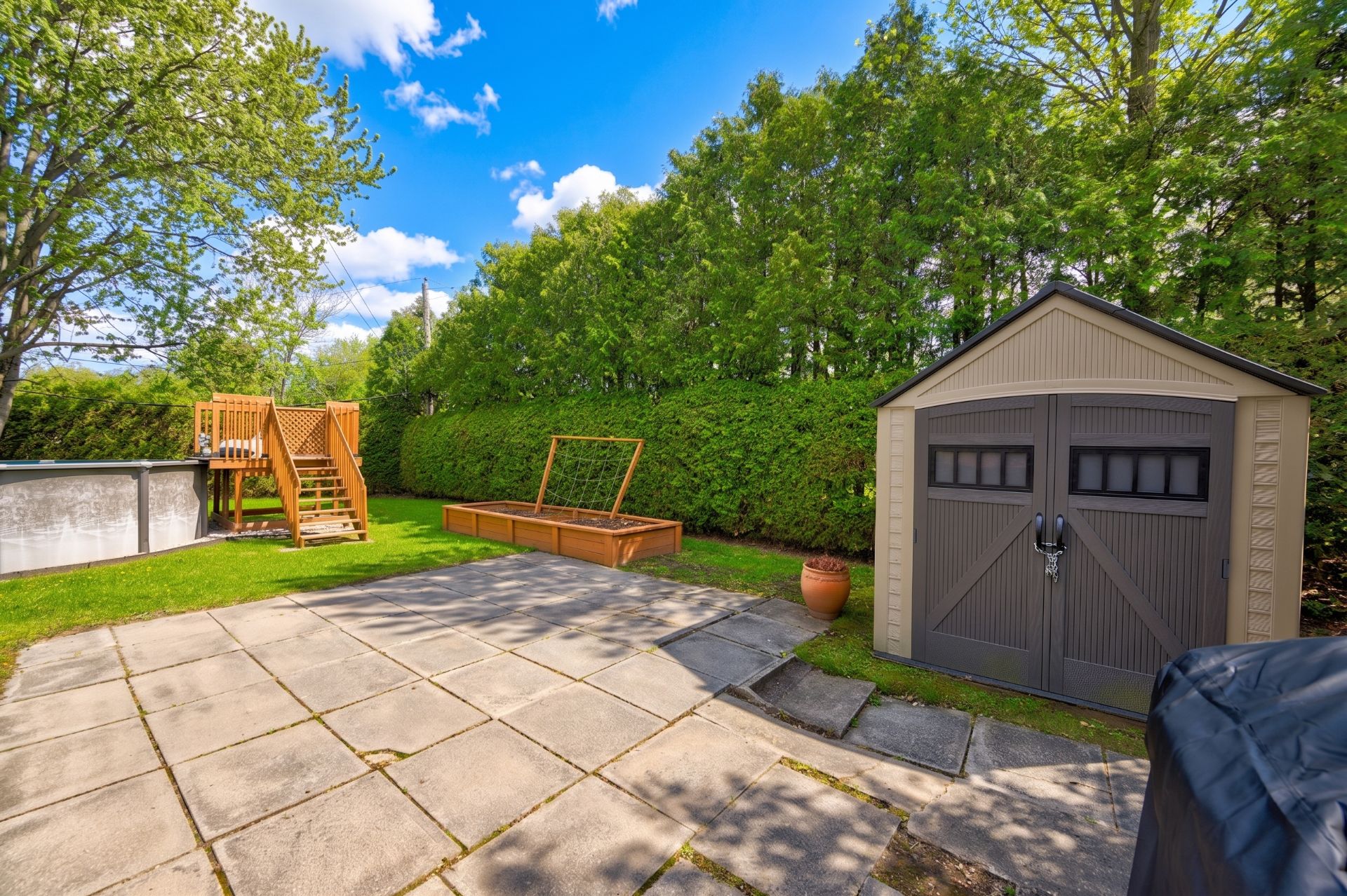 Backyard