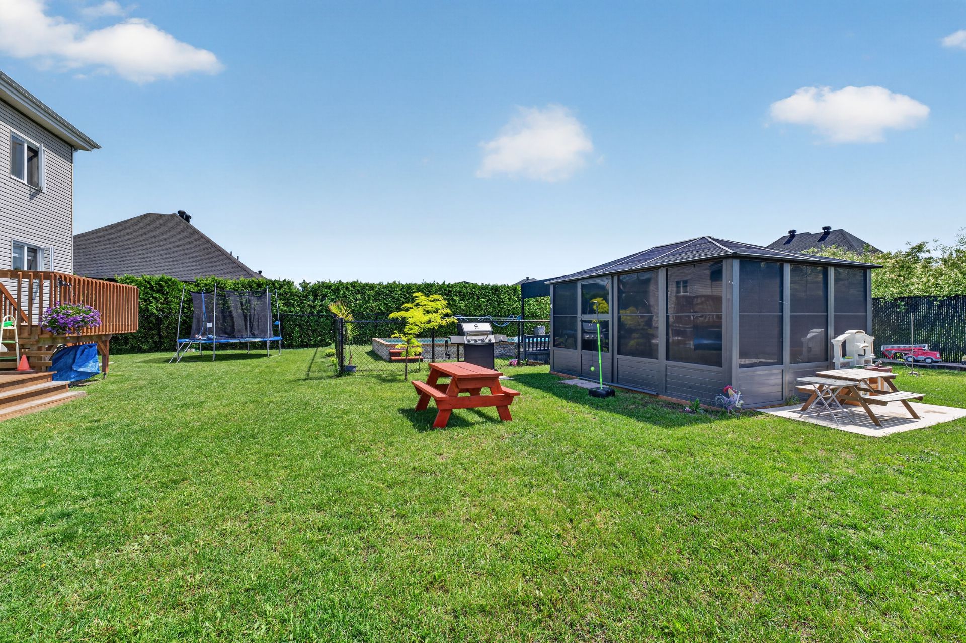 Backyard