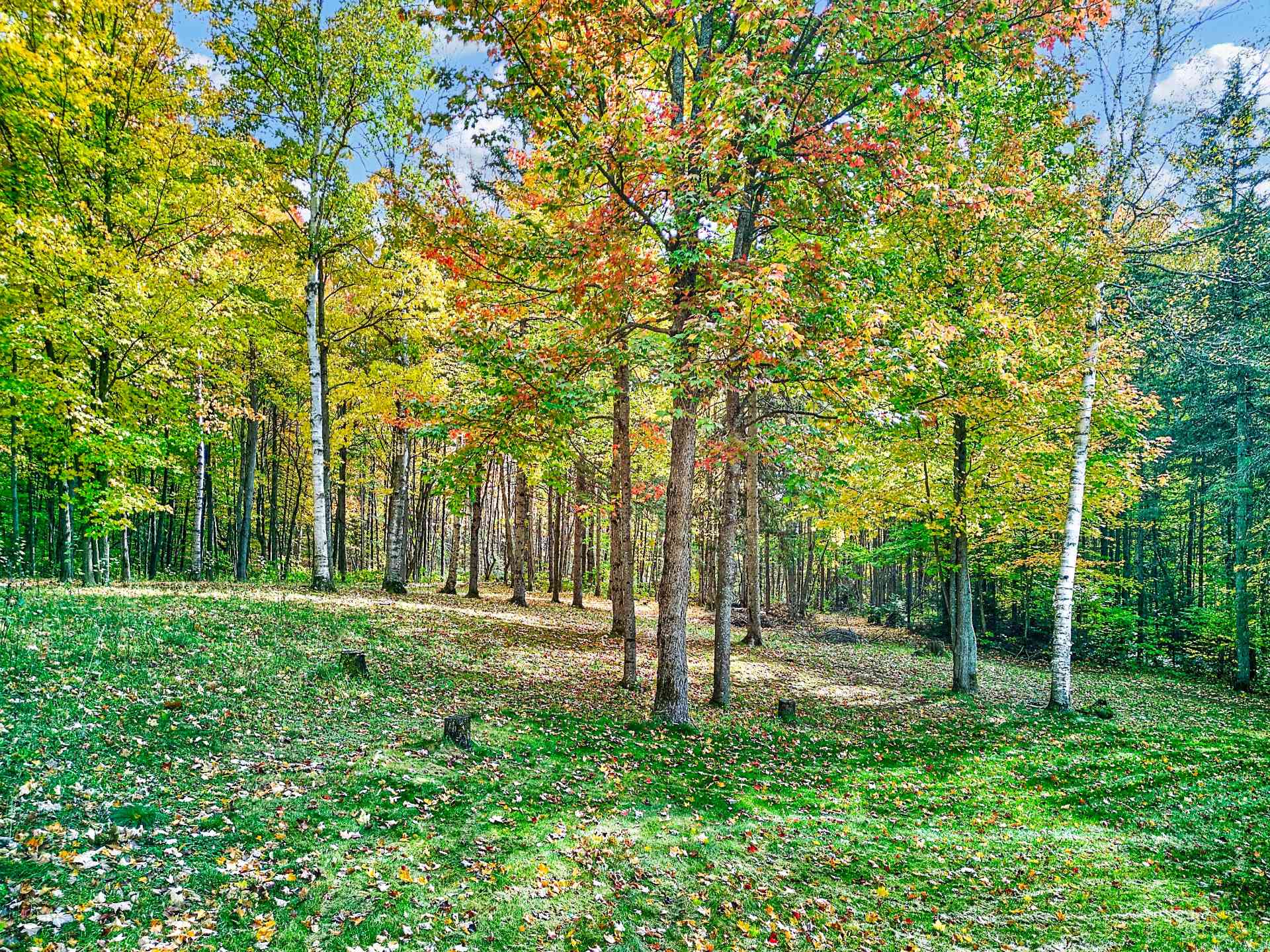 Overall View