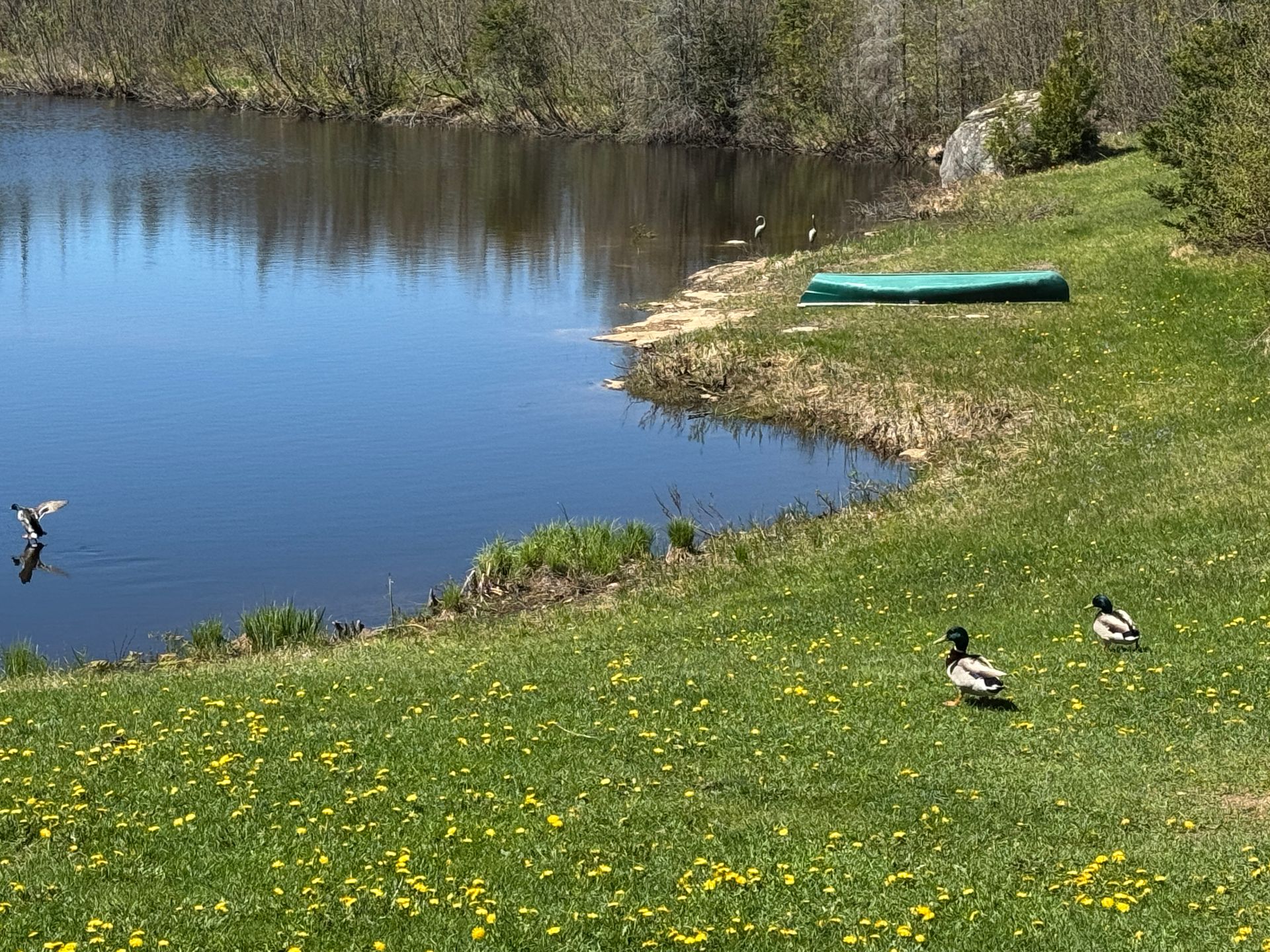 Waterfront