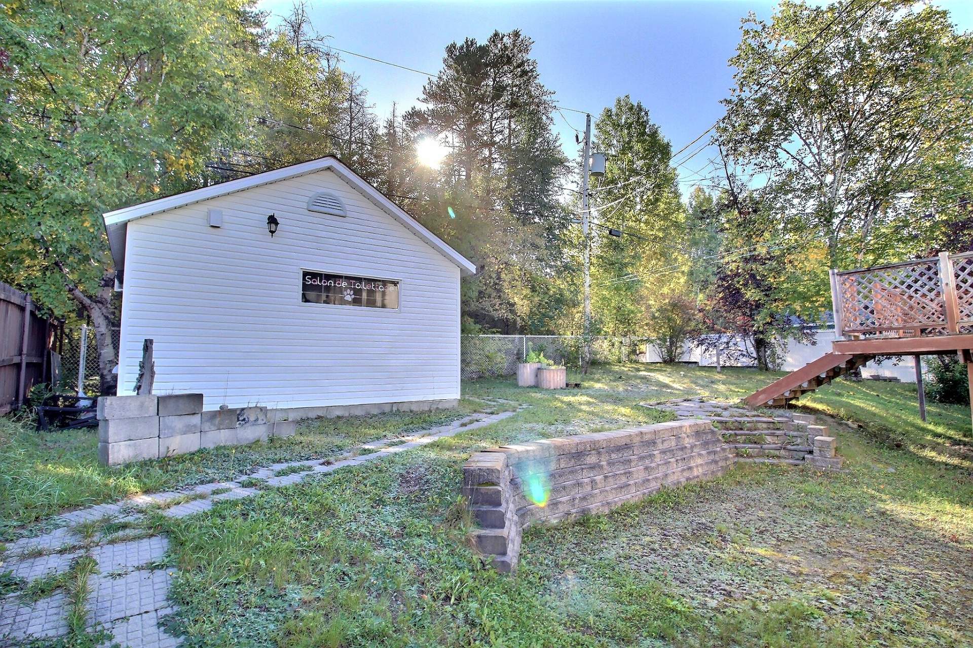 Backyard