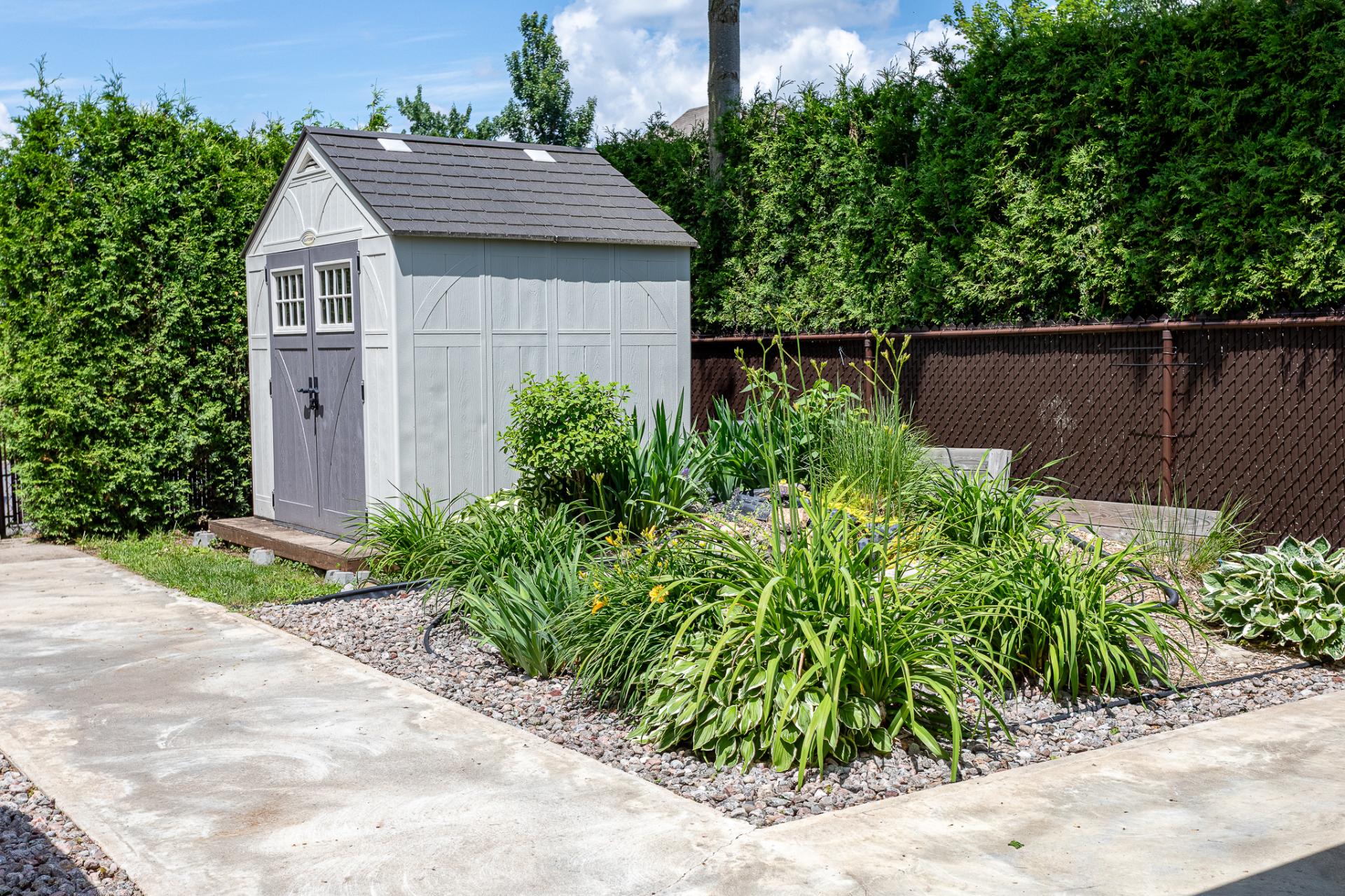 Backyard
