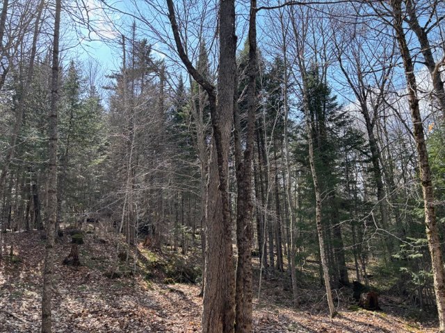 Land/Lot