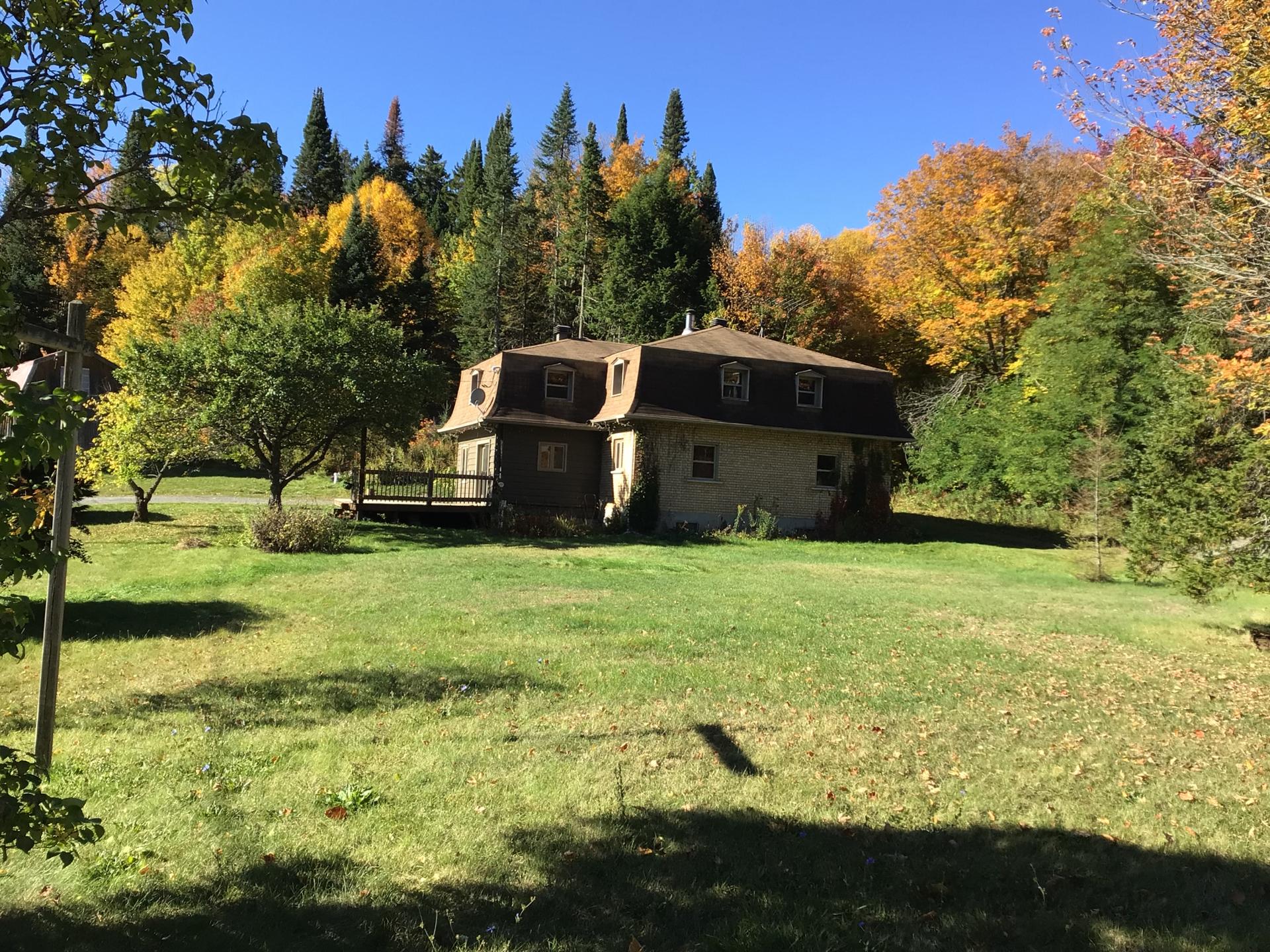 Photo d'été des vendeurs