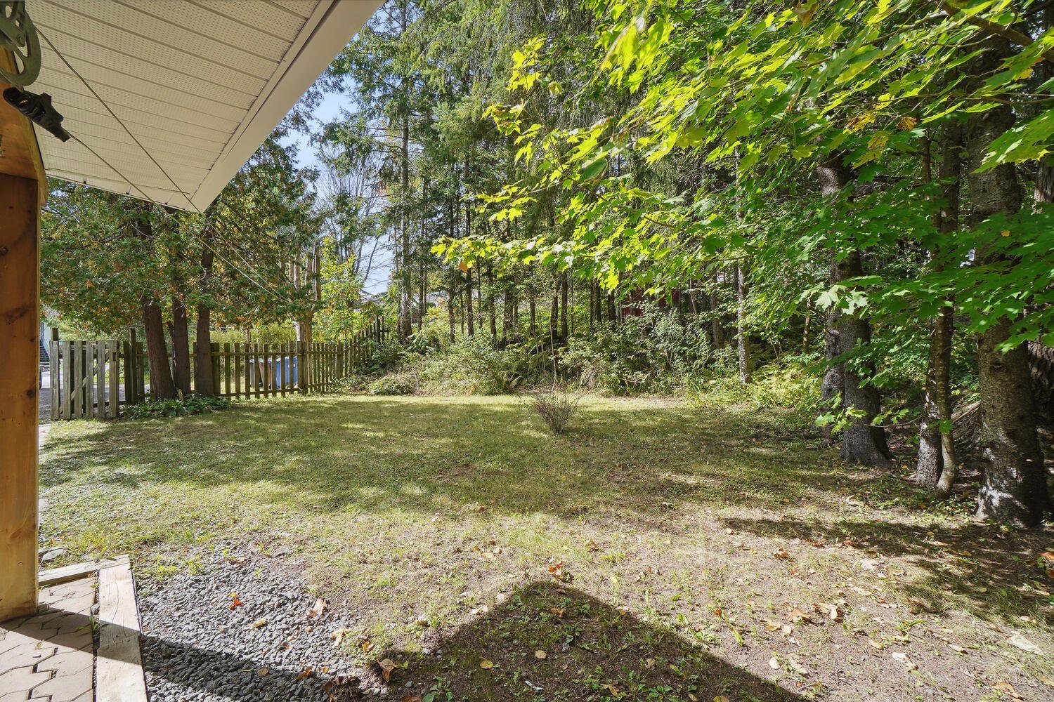 Backyard