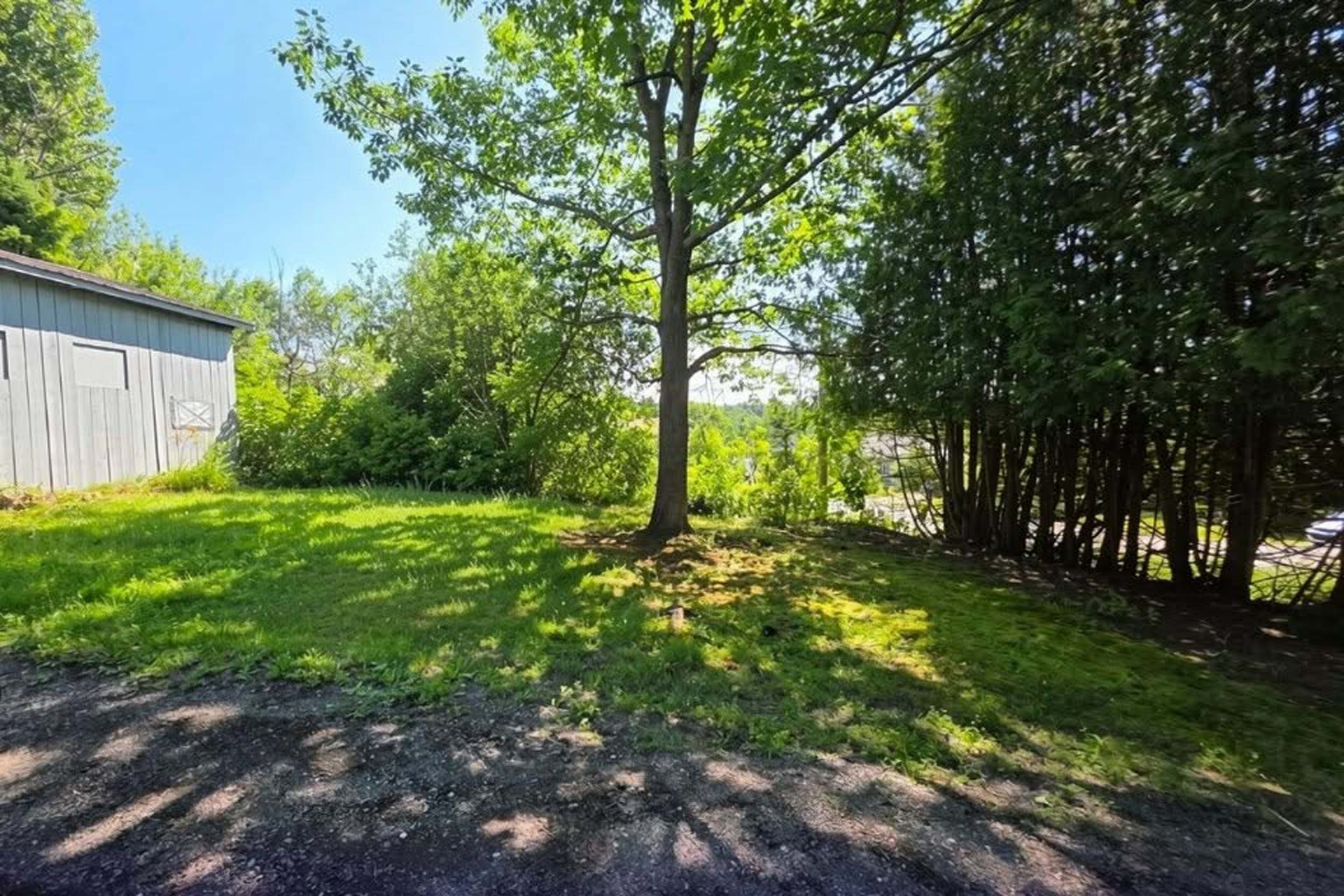 Backyard