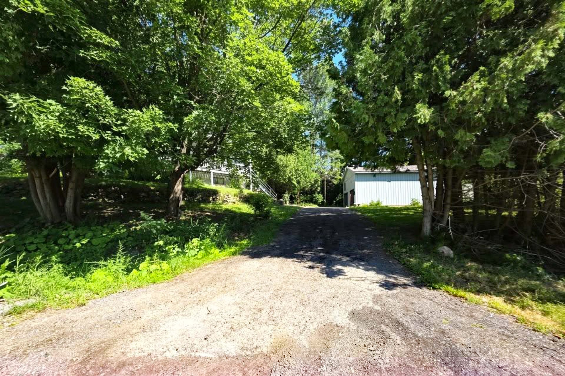 Overall View