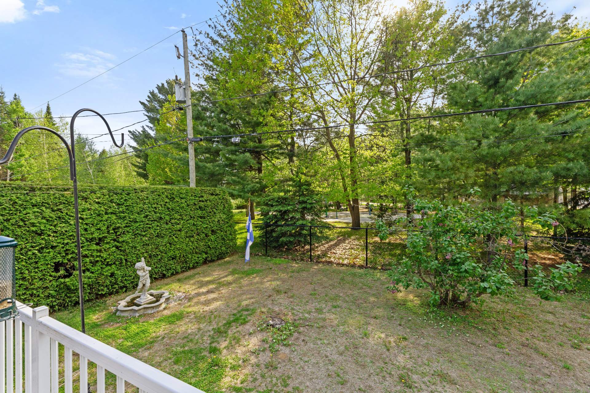 Backyard
