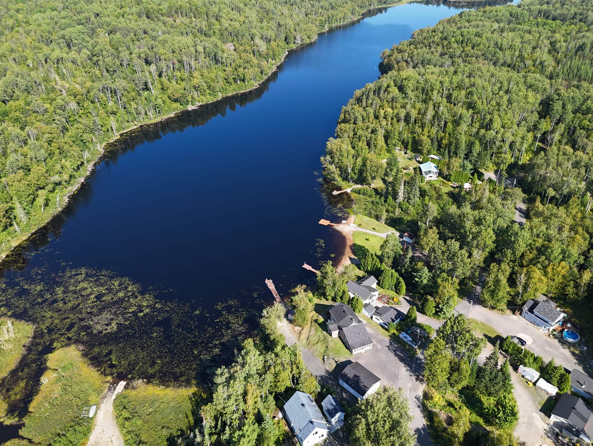 Overall View