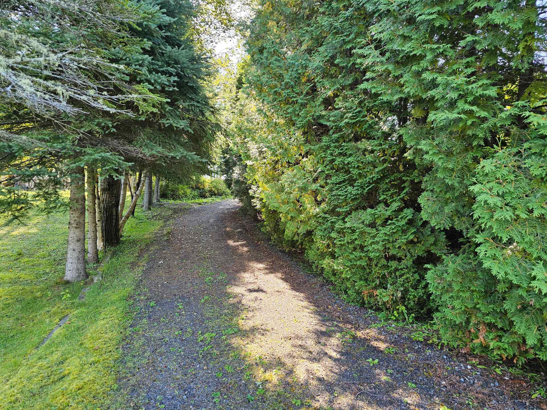 Accès au plan d'eau