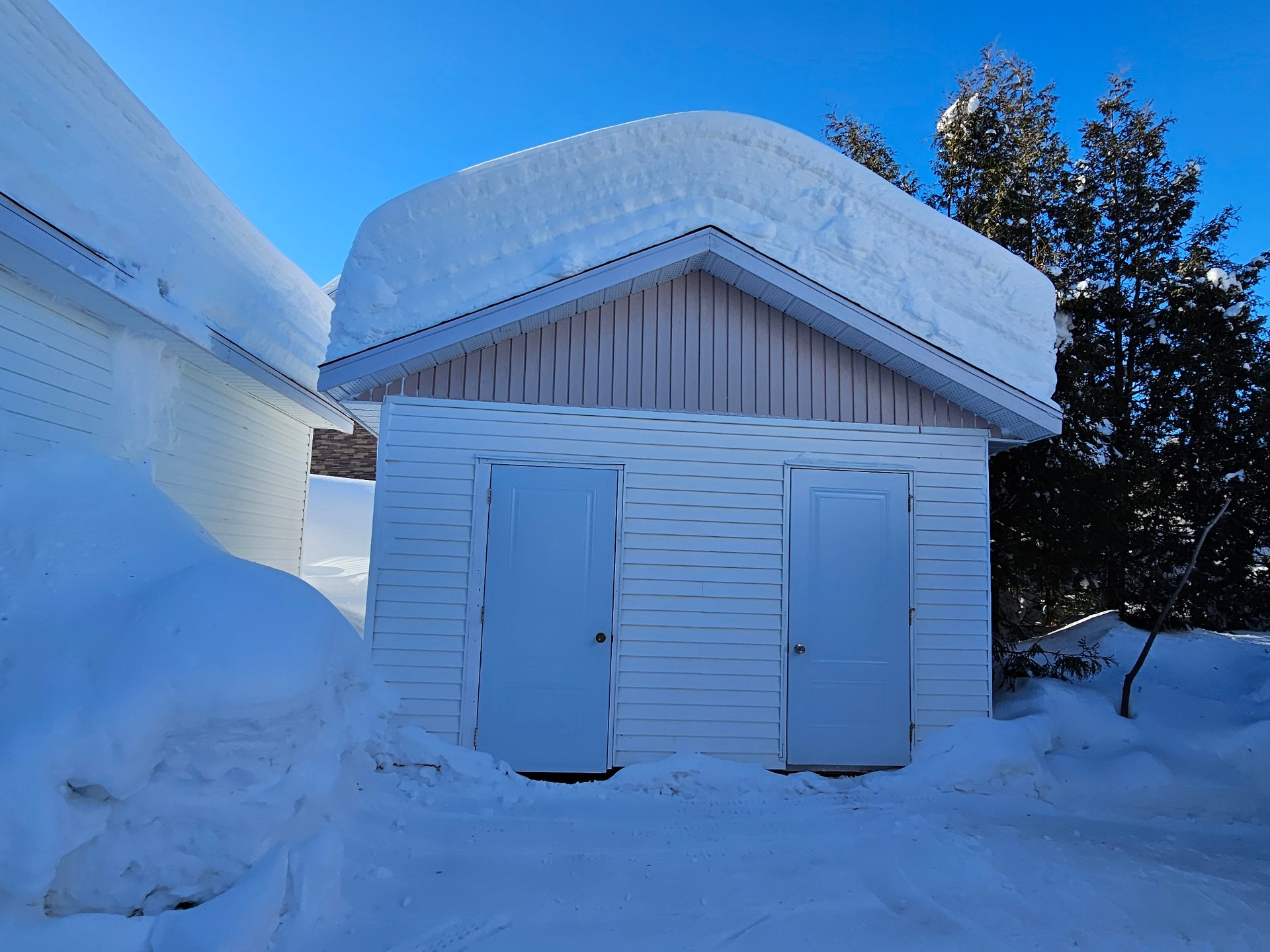 Shed