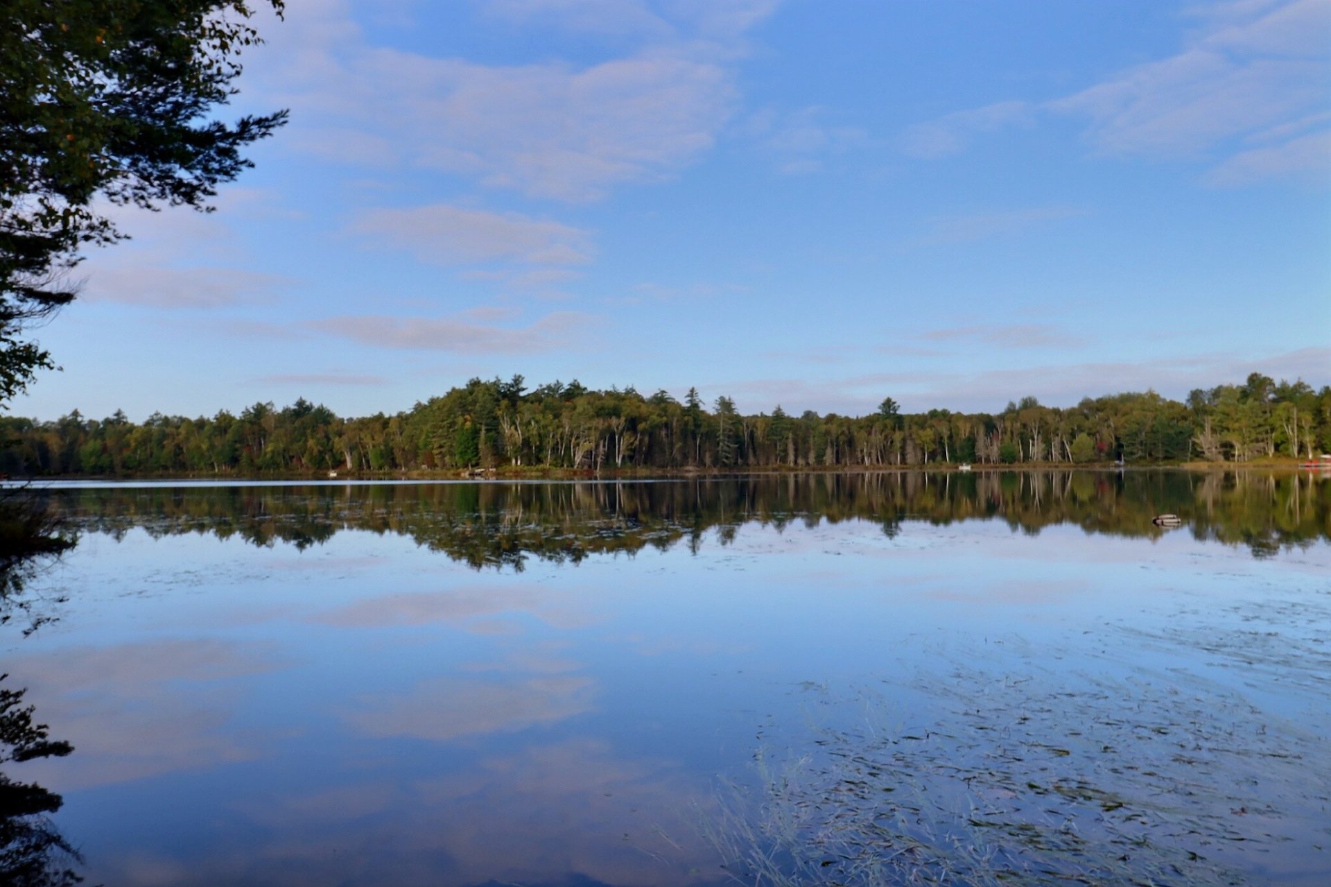 Vue sur l'eau