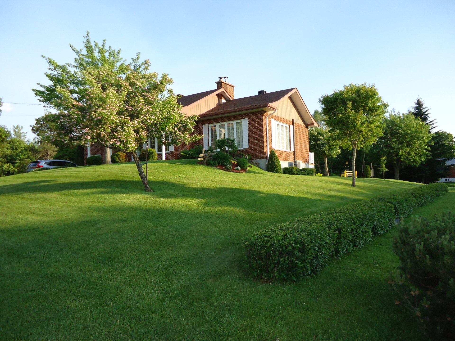 Photo d'été fournie par le vendeur