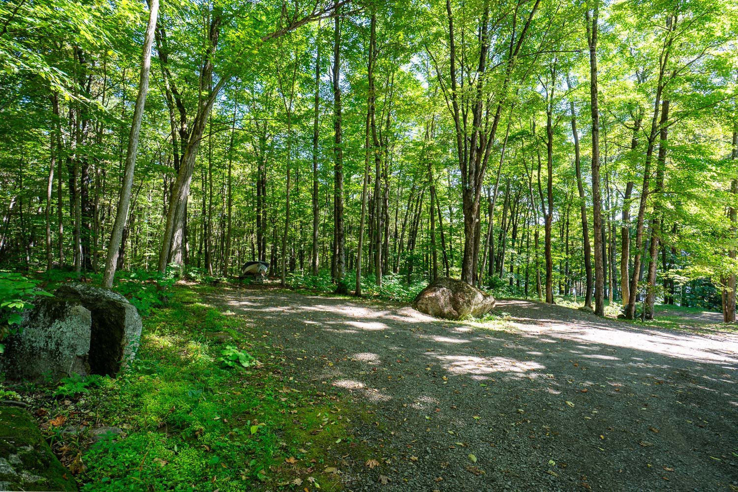 Land/Lot