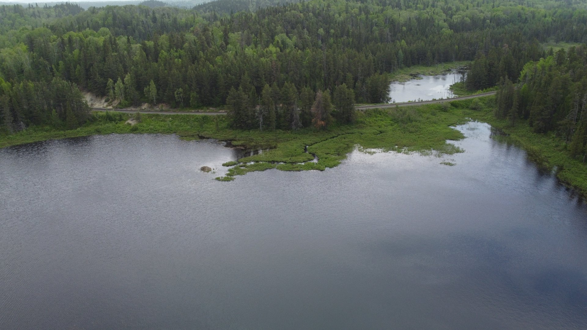 Overall View