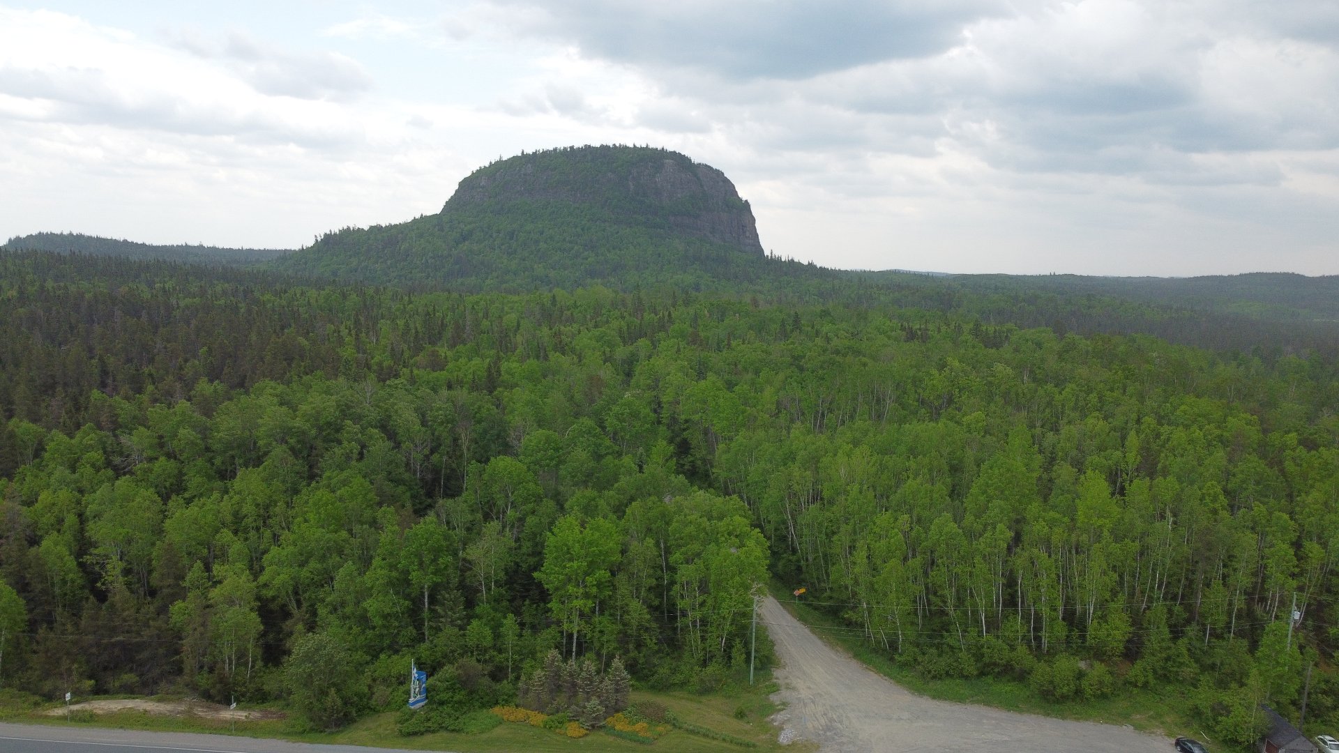 Overall View