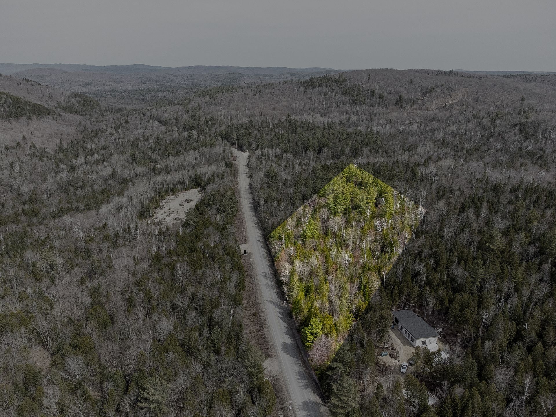 Terre/Terrain