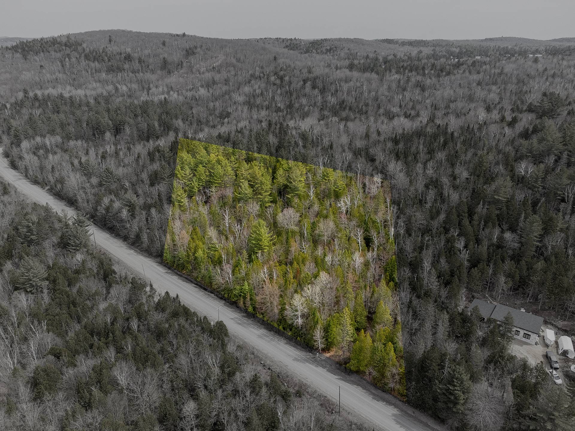 Terre/Terrain