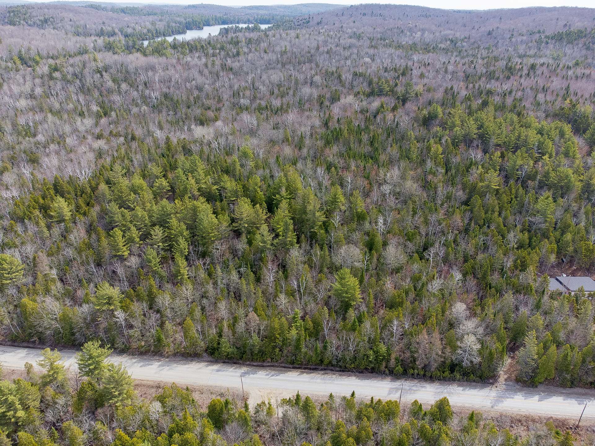 Terre/Terrain
