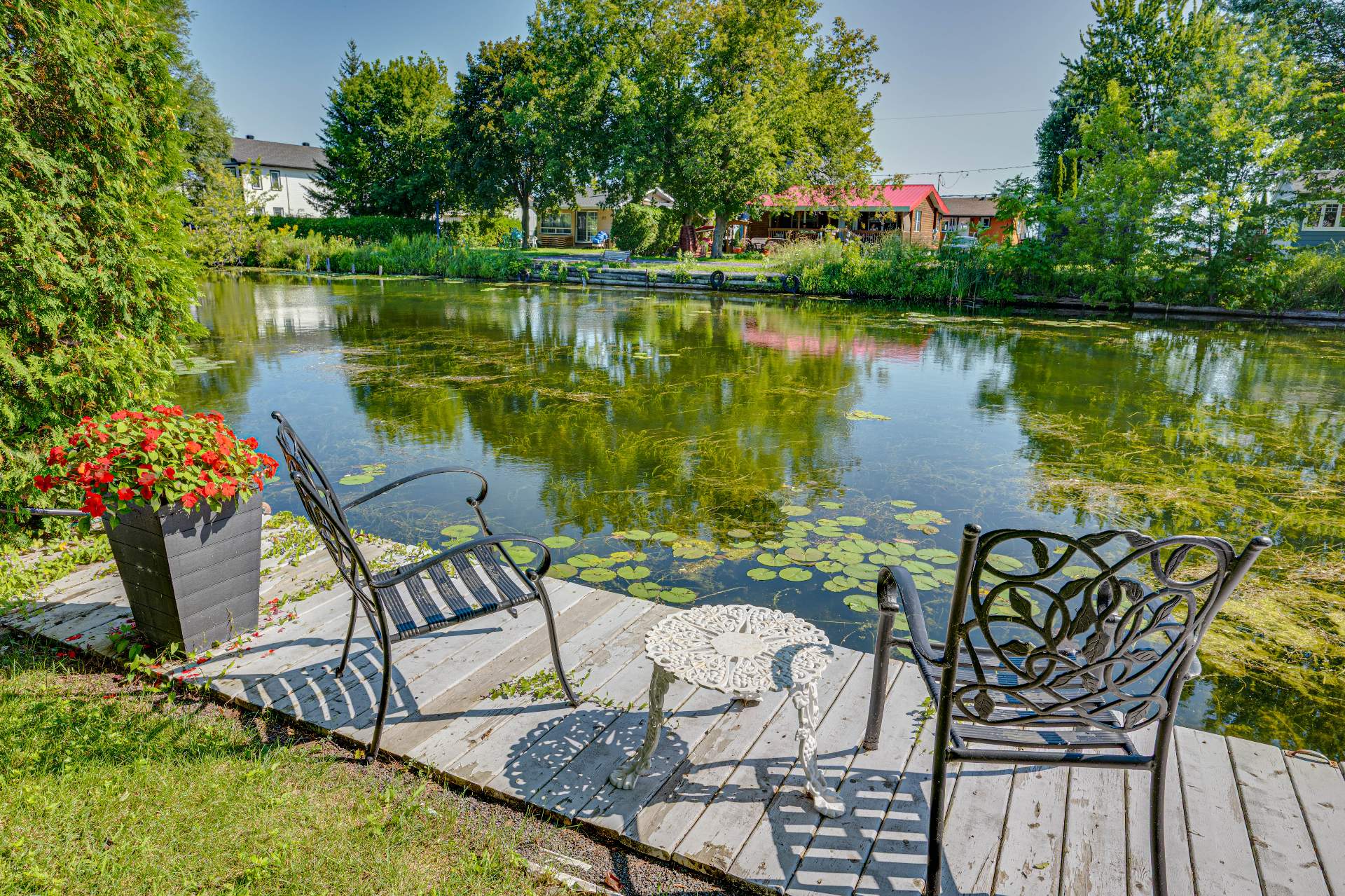 Bord de l'eau
