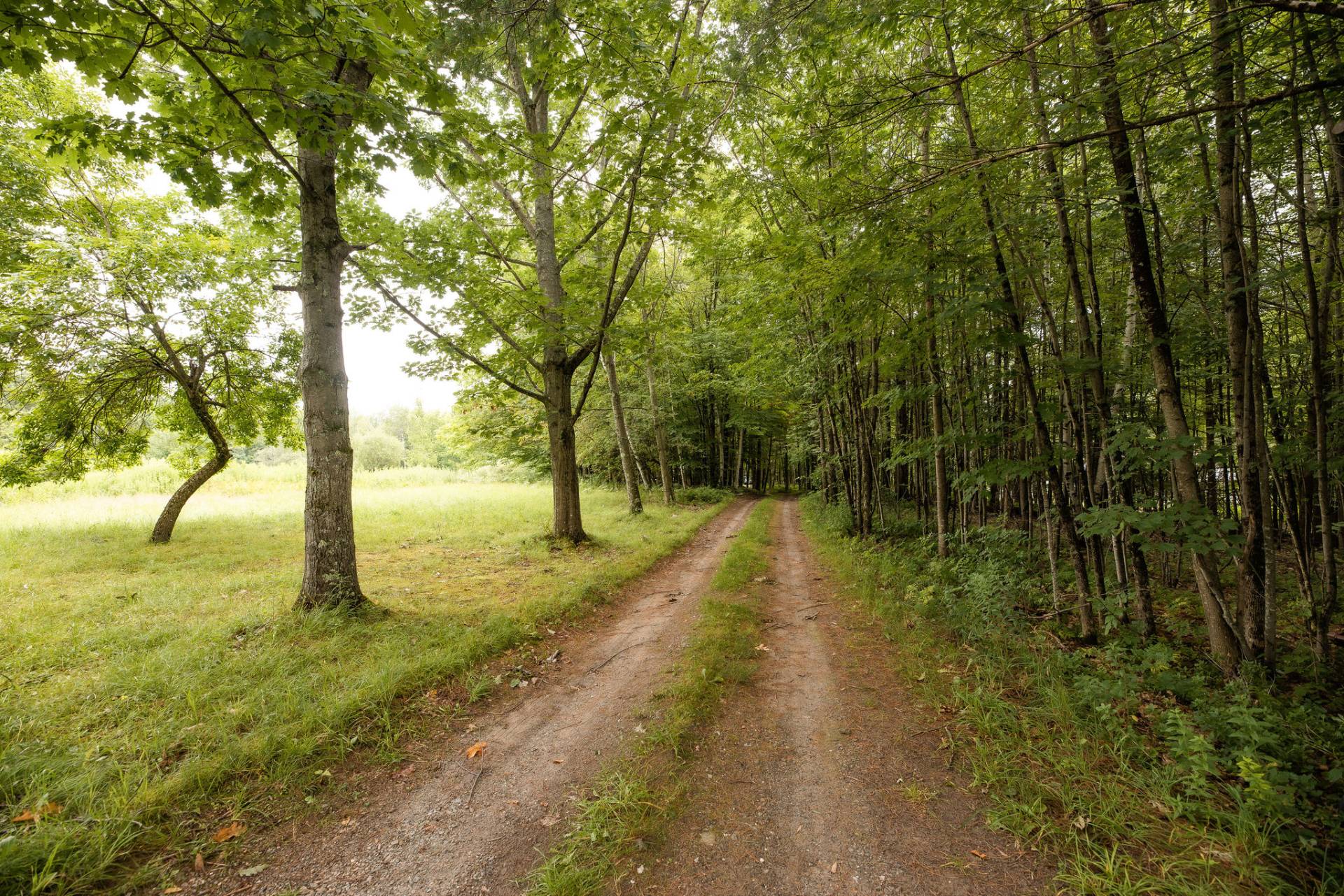 Terre/Terrain