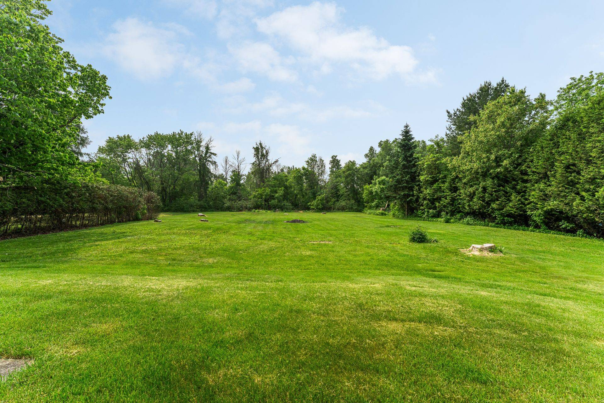 Land/Lot