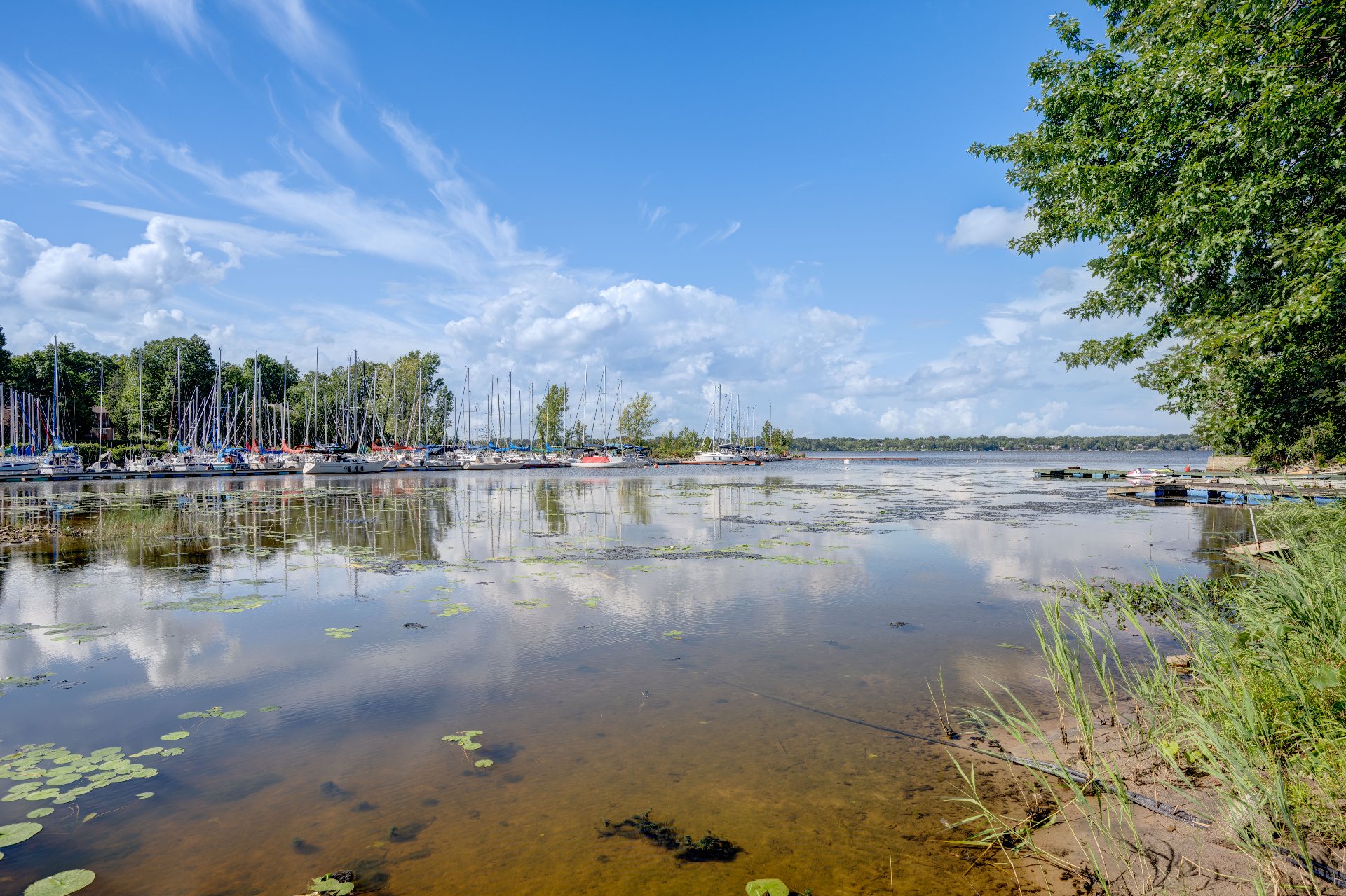 Bord de l'eau