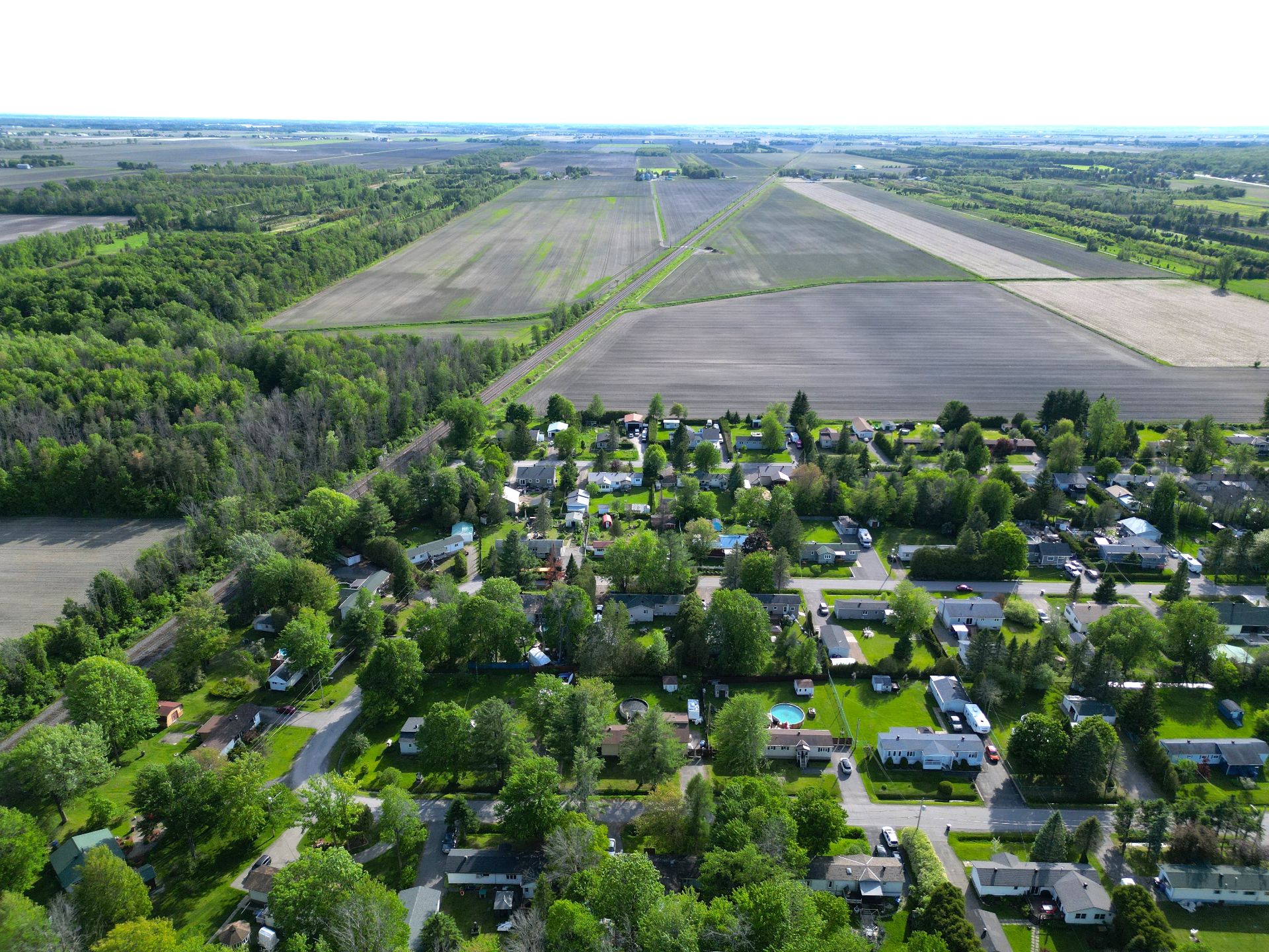 Overall View