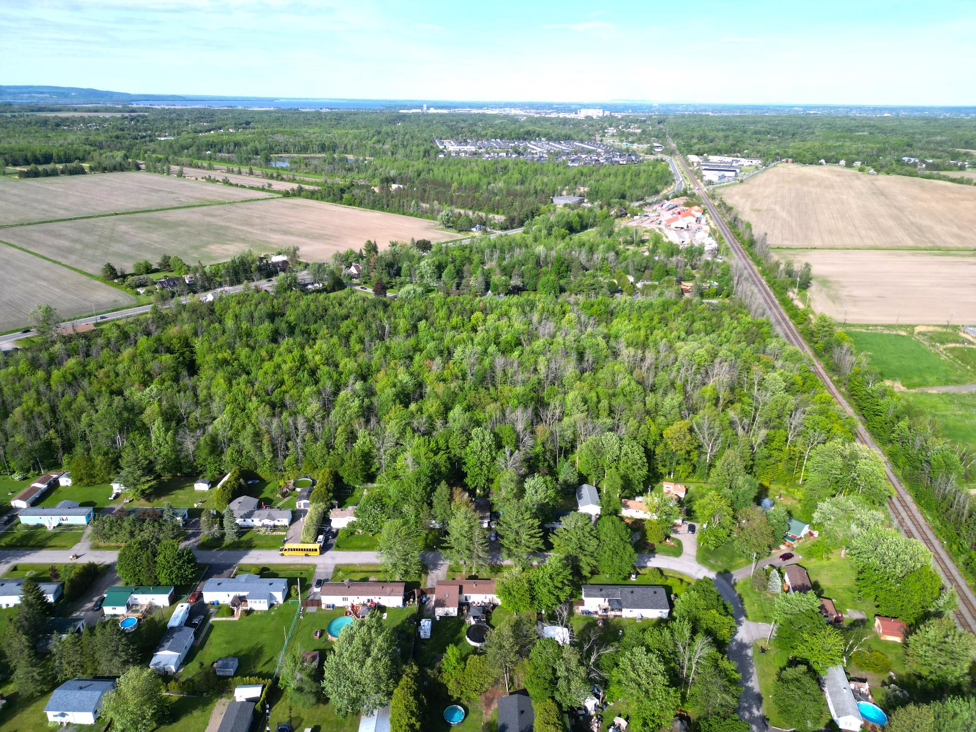 Overall View